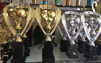 Boxing trophies