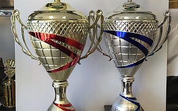 Two trophies